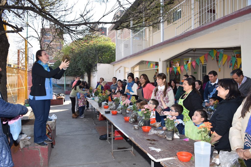 Taller de Kokedama en Nivel Inicial