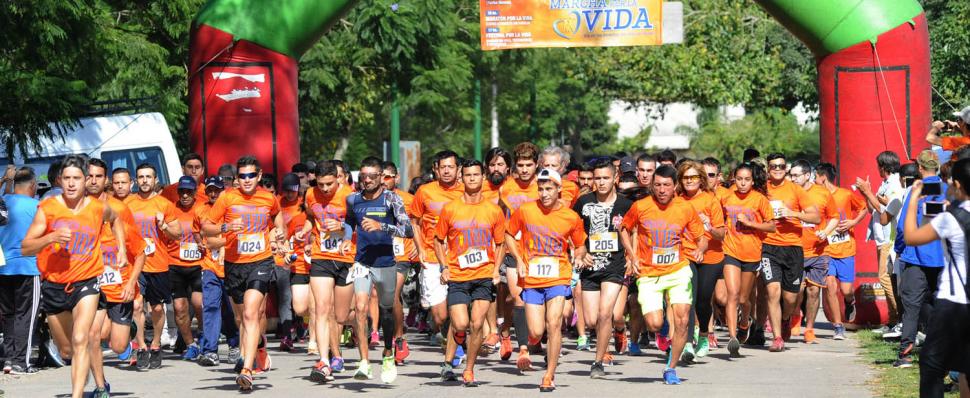 «Cuidemos la vida, sobre todo, la del que no puede defenderse», dijo el Arzobispo